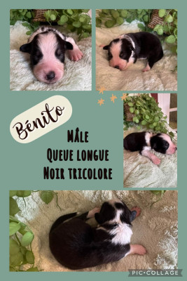 Bénito