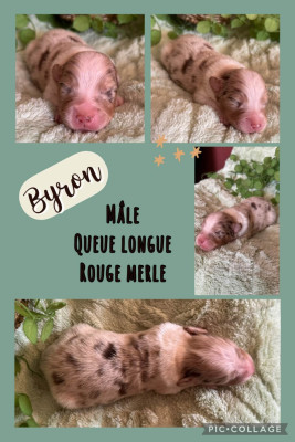 Byron